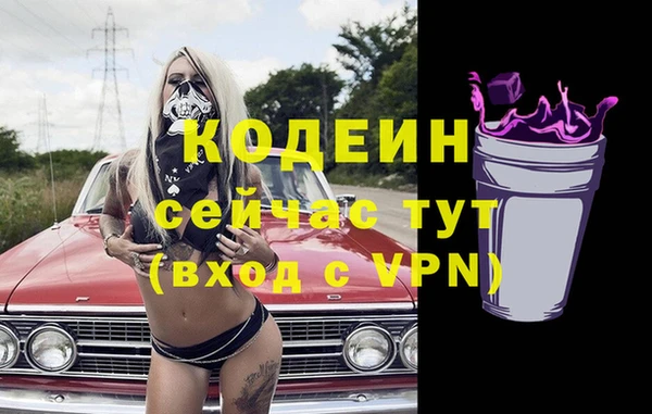 стафф Няндома