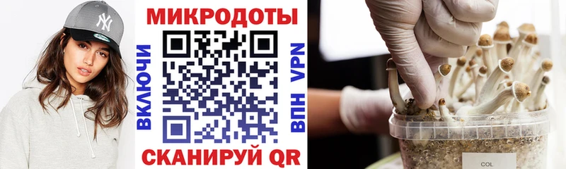 Галлюциногенные грибы MAGIC MUSHROOMS  кракен   Безенчук 