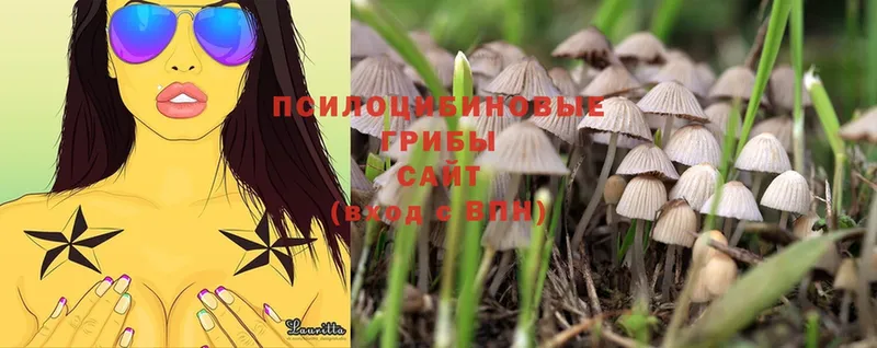 Галлюциногенные грибы MAGIC MUSHROOMS  omg вход  Безенчук 